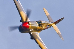 Mottys-Warnervale-2021-P-40E-Kittyhawk-VH-KTY-18679-DTLR-1-001-ASO