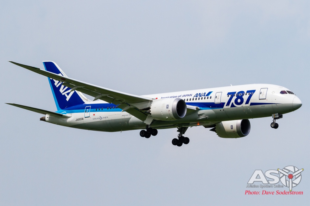 JA803A ANA Boeing 787-8 ASO (1 of 1)