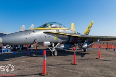 RAAF Base Darwin Open Day